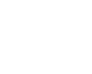 Concepcion Construct